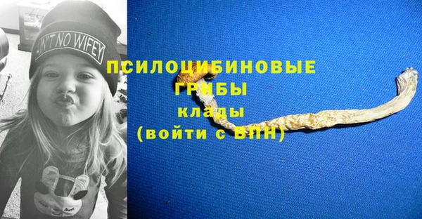 экстази Приозерск
