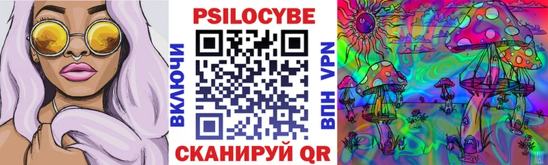продажа наркотиков  blacksprut как зайти  Галлюциногенные грибы Psilocybe  Бологое 